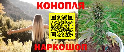 мдпв Кандалакша
