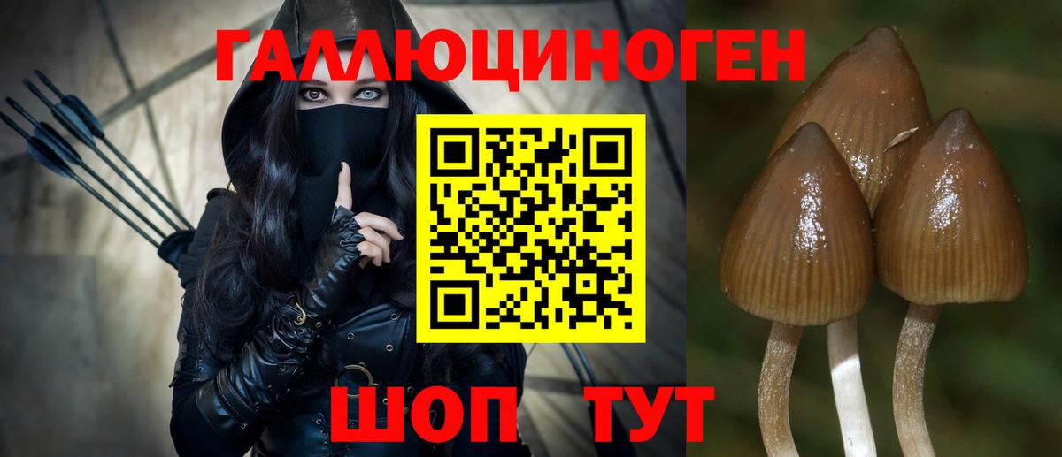 Кубинка  Галлюциногенные грибы Psilocybine cubensis  Псилоцибиновые грибы MAGIC MUSHROOMS  где купить наркоту  Вход с VPN 